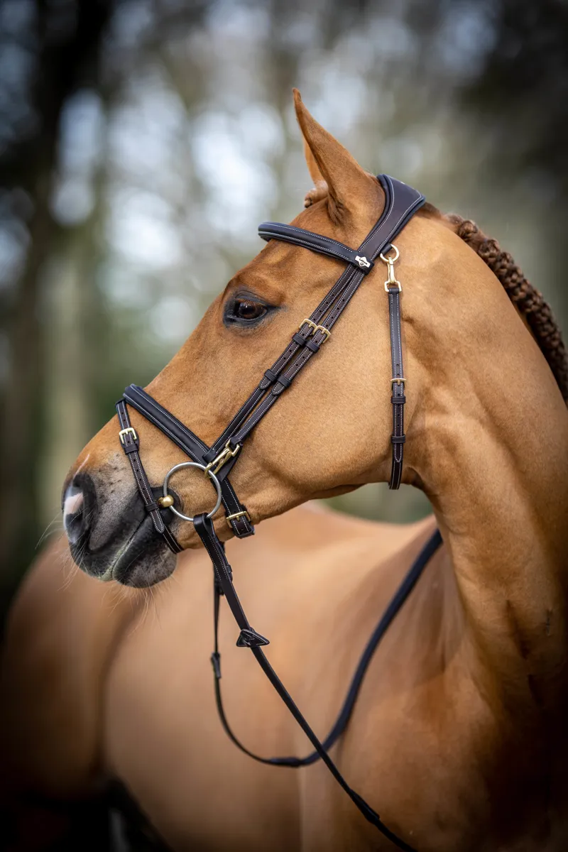 LeMieux Kudos Work Bridle in Brown -3